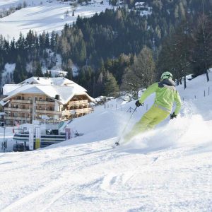 Hoeflehner-Ski